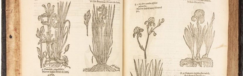 John Gerard’s Herball (& 2 colcannon-inspired recipes)