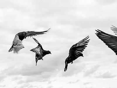 An Interview With Charis Ioannou