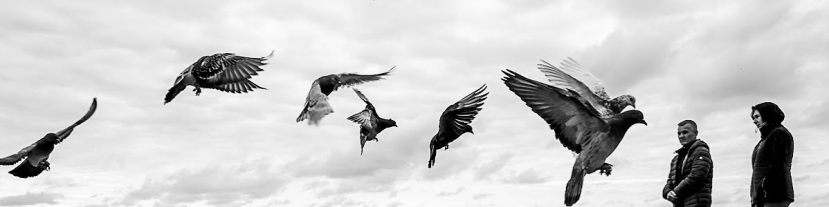 An Interview With Charis Ioannou