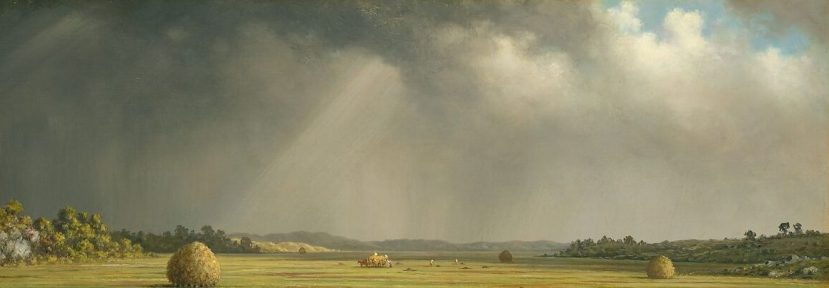 The song of the white-throated sparrow