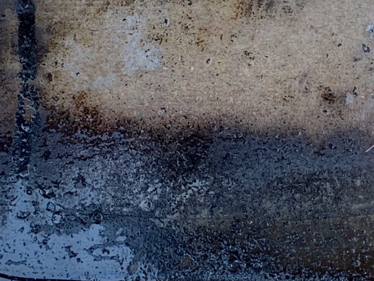 After the Apocalypse (Or My Grandmother was a Landscape)