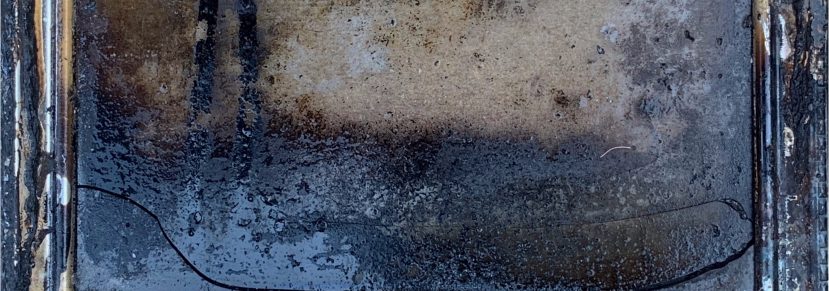 After the Apocalypse (Or My Grandmother was a Landscape)