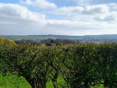 Review: Northern Kin Festival 2023