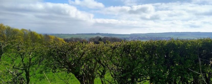 Review: Northern Kin Festival 2023