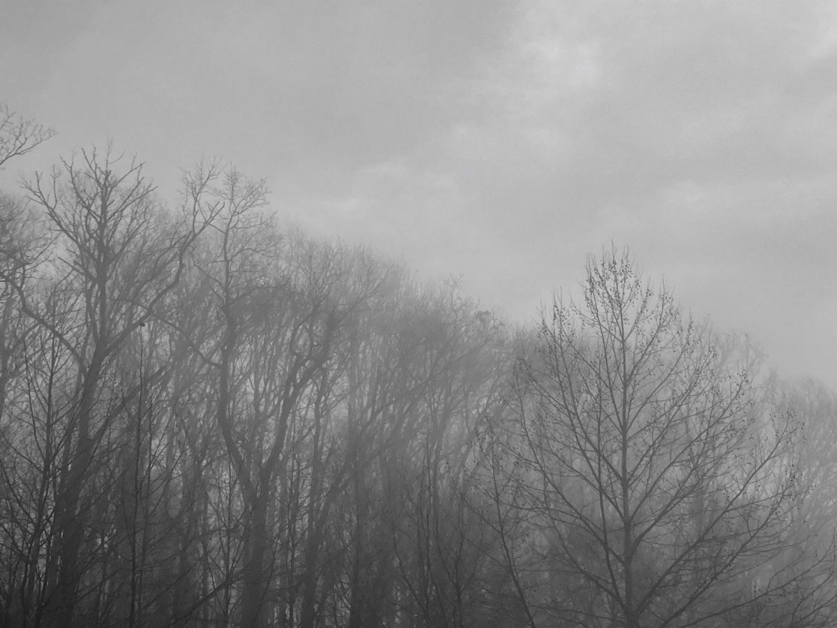 For a mother whose son was murdered