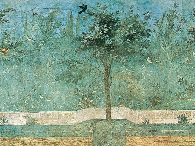 Letter From the Editor, May, 2023: Magpies Commons