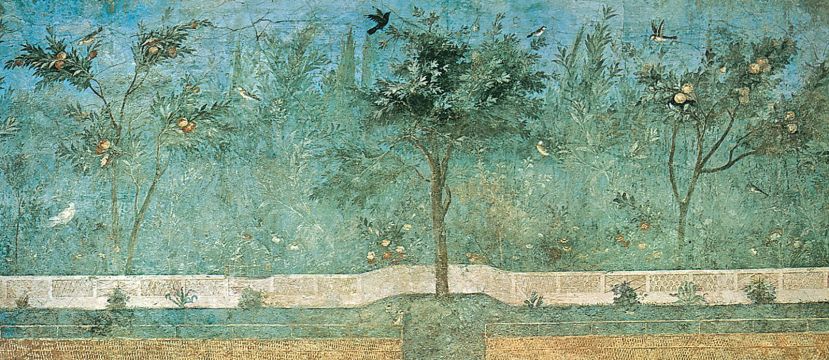 Letter From the Editor, May, 2023: Magpies Commons