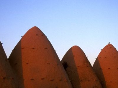 In Search of a Smile