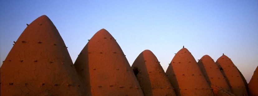 In Search of a Smile