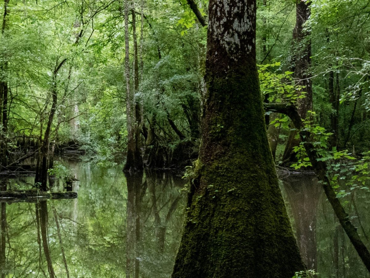 Hardly a Day’s Journey