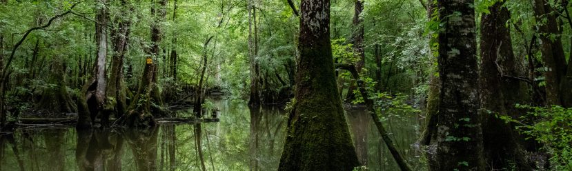 Hardly a Day’s Journey