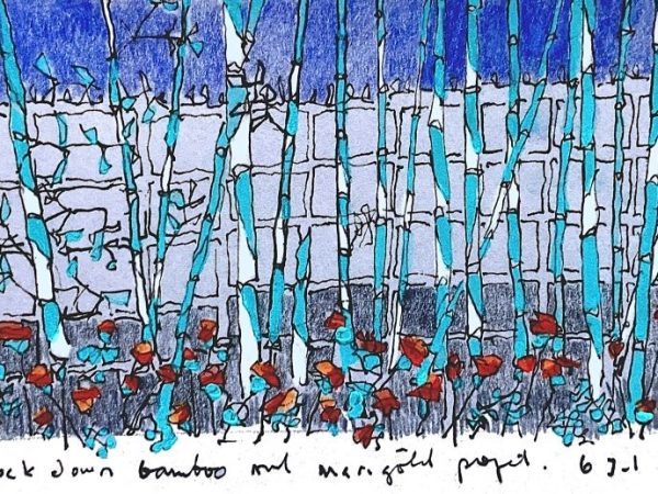 East African Lockdown Drawings: Bamboo and Marigolds