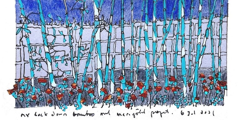East African Lockdown Drawings: Bamboo and Marigolds