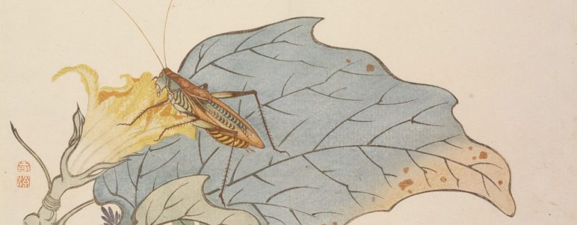 Crow and Cricket: Two Autumn Poems from Matsuo Basho