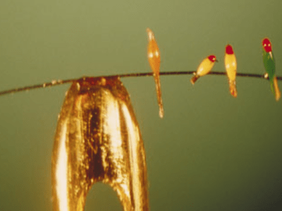 The Eye of the Needle