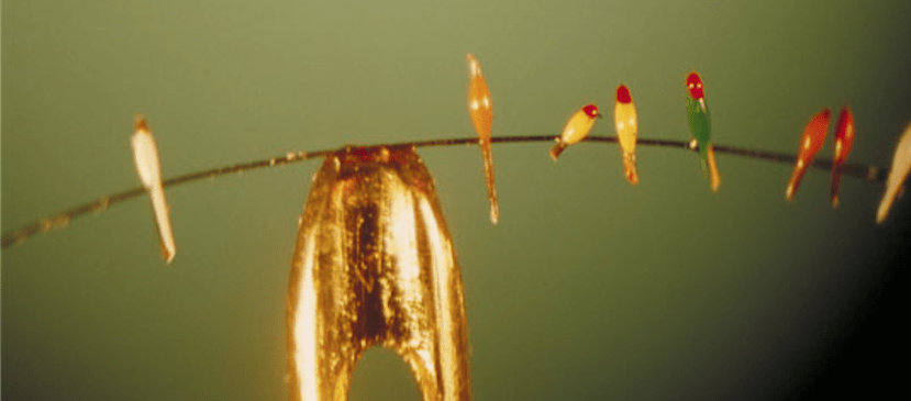 The Eye of the Needle