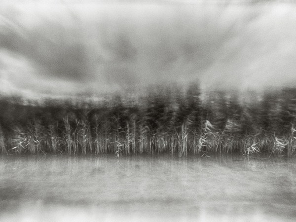 All I Had to Do Was Listen: An Interview with Torsten Richter