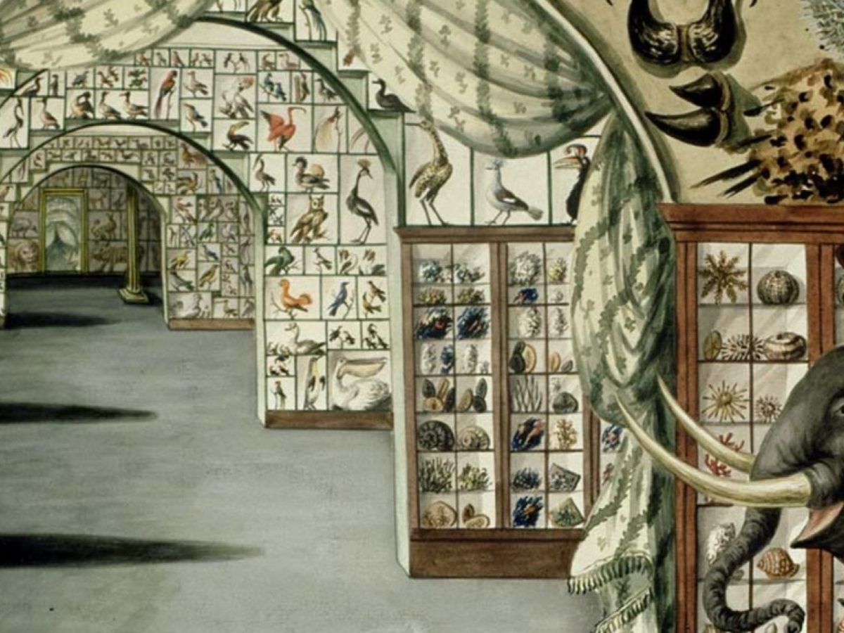 Letter From the Editor, December: Museum of Lost Creations