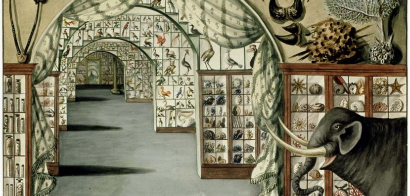 Letter From the Editor, December: Museum of Lost Creations