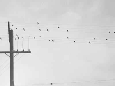 Fiction: The Lost Man