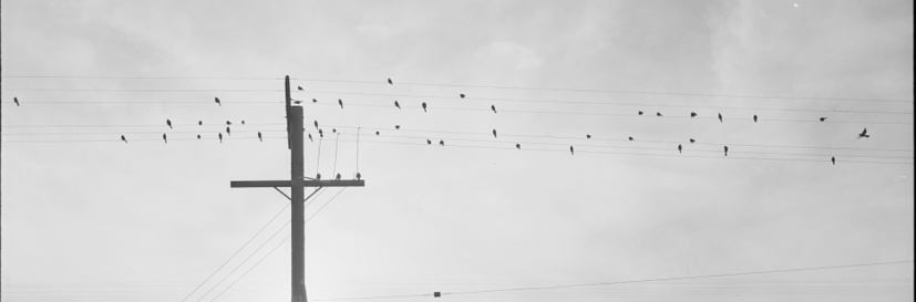 Fiction: The Lost Man