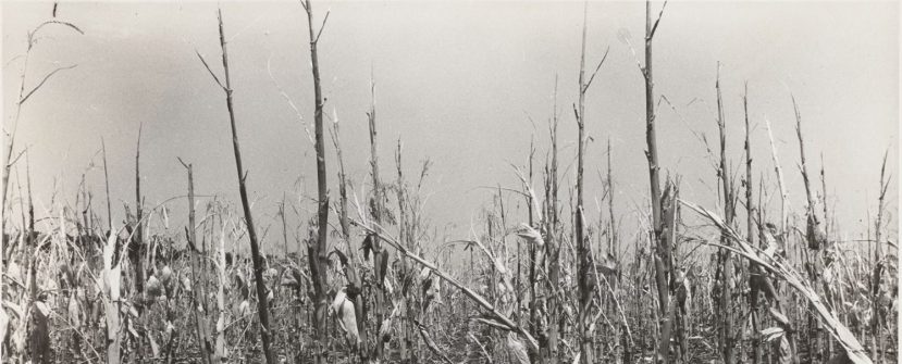 An Anchored Friendship