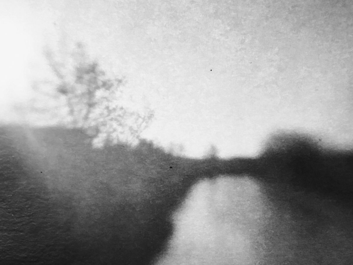 Inside the Camera Obscura: An Interview with Michele FariNelly