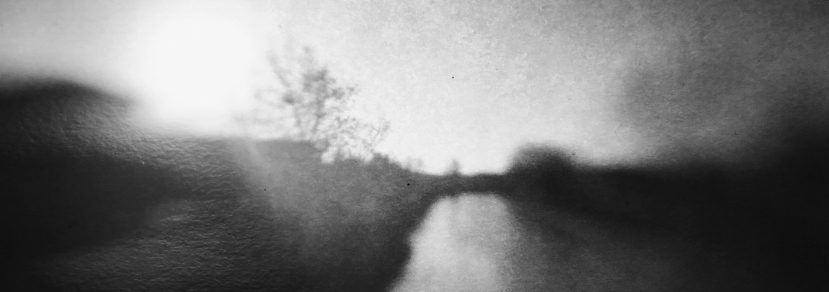 Inside the Camera Obscura: An Interview with Michele FariNelly