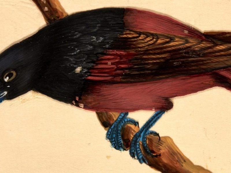 January Letter From the Editor: What the Thunder Said