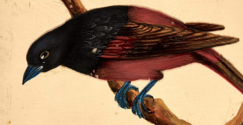 January Letter From the Editor: What the Thunder Said