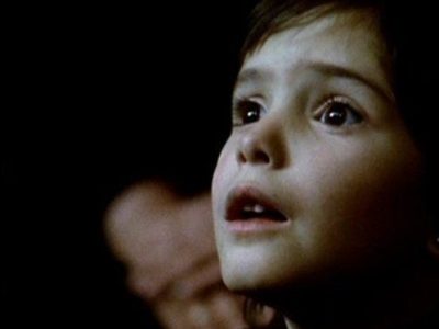 Spirit of the Beehive: Surviving Tyrannies