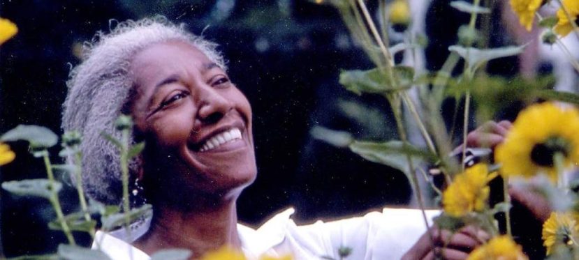The Excellence of Edna Lewis