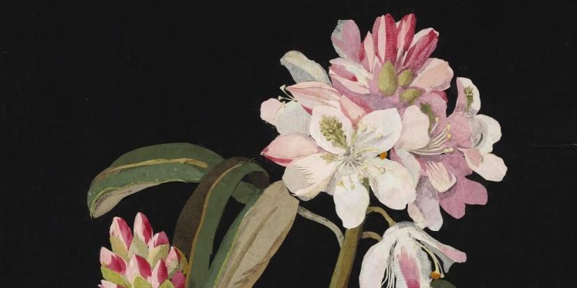 Late Bloomer: the Art of Mary Granville Delany
