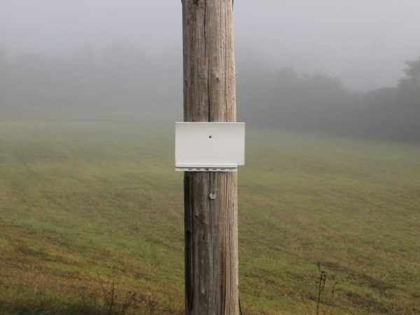 Featured Photographer: Avard Woolaver