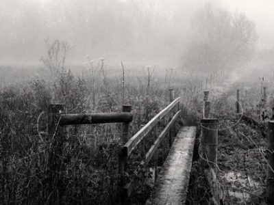 Faraz Ravi: Mystery Beyond the Surface