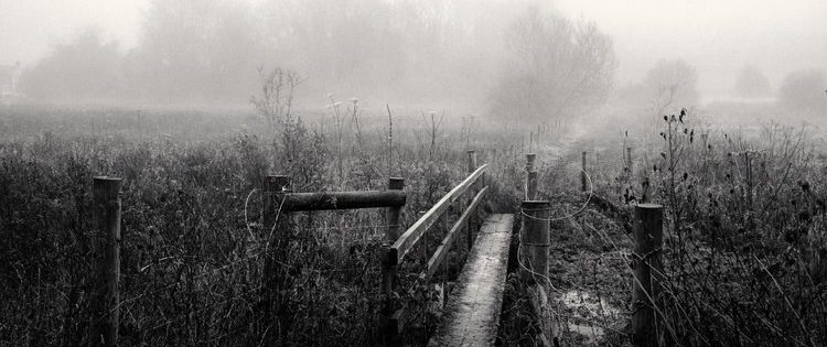 Faraz Ravi: Mystery Beyond the Surface