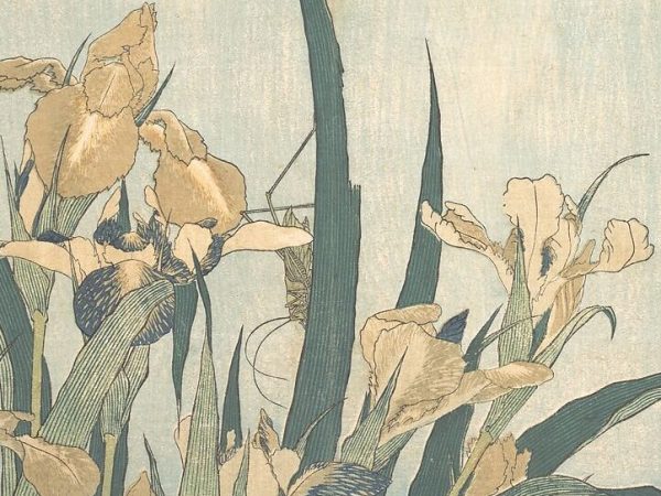 The Cicada’s Cry: Matsuo Basho’s Summer Poems