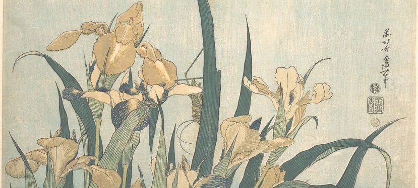 The Cicada’s Cry: Matsuo Basho’s Summer Poems