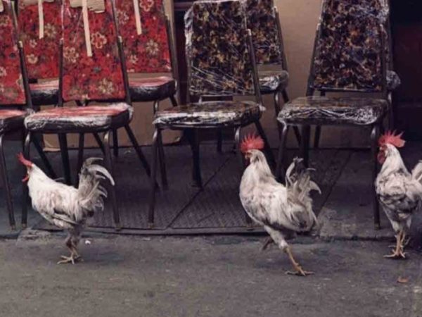 Magpies Mix Tape: Ain’t Going to Worry No More