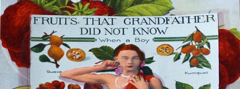 Art as a bullhorn: An Interview with Peter J. Ketchum