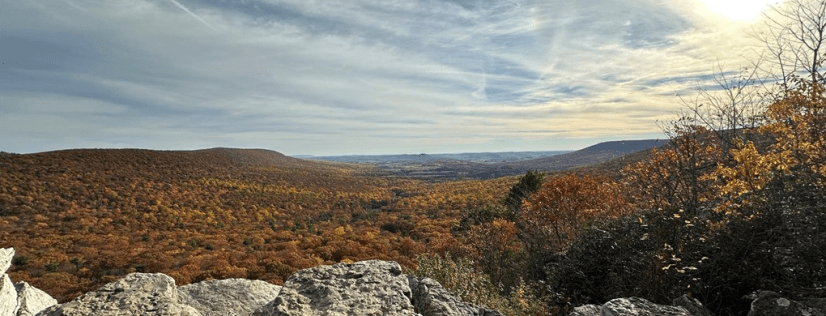 “I have a gun,” she lied