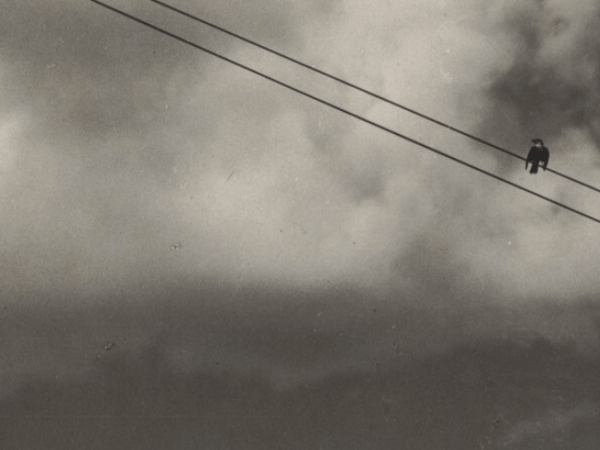 Letter From the Editor: Take Some Care