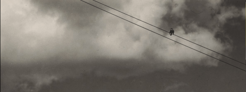 Letter From the Editor: Take Some Care