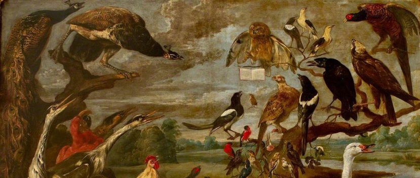 Letter from the editor May, 2025: The birds are alright