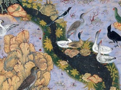Illustrating a classic –revisiting artworks on The Conference of the birds