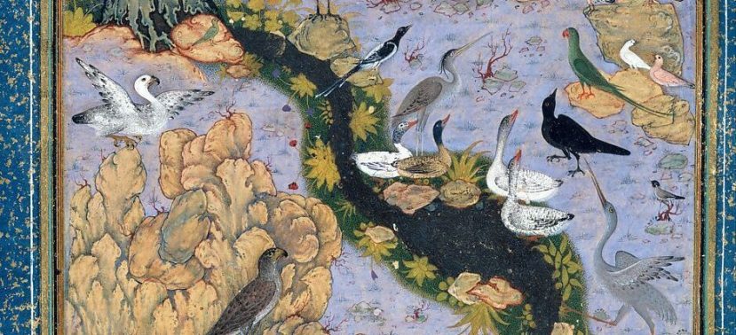 Illustrating a classic –revisiting artworks on The Conference of the birds