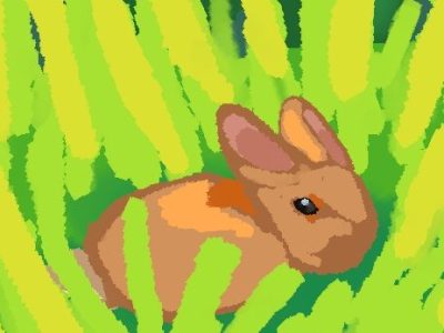 Magpies’ Comic Section: Nice to be a Bunny