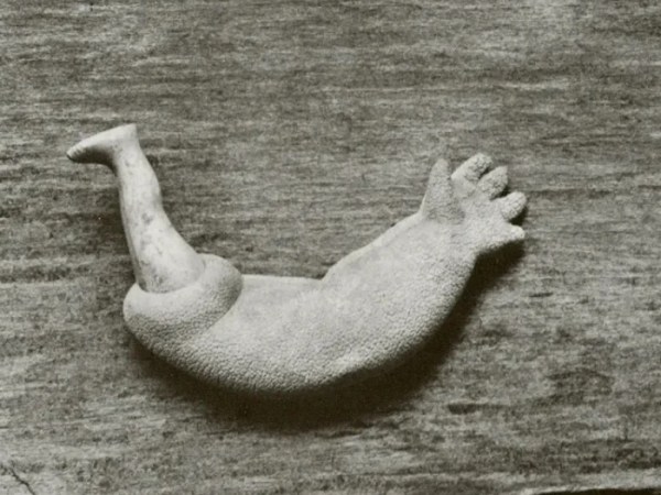 The Complexity and the Simplicity of Things: Neal Rantoul on Fred Sommer