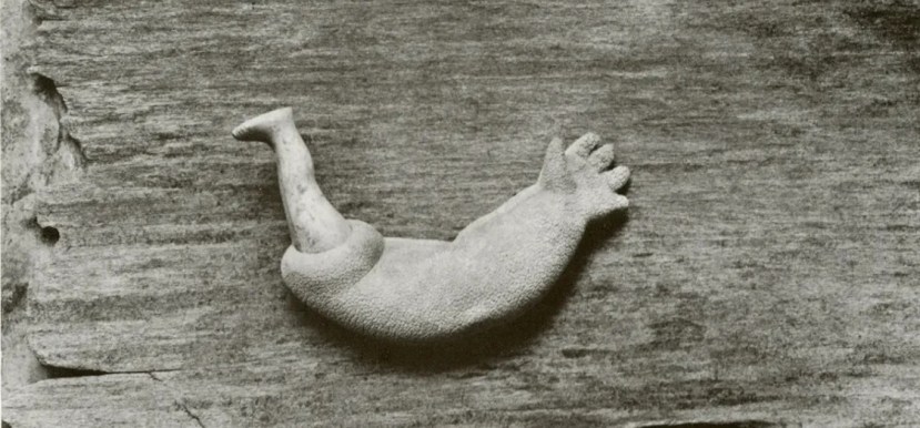 The Complexity and the Simplicity of Things: Neal Rantoul on Fred Sommer