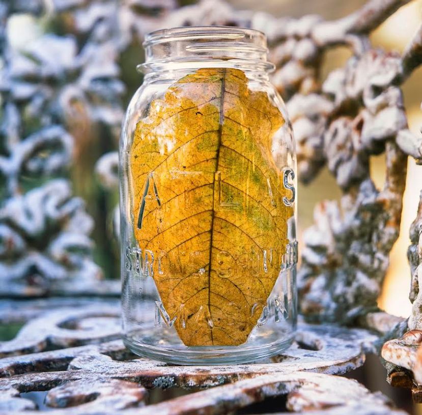 Of Legacy, Latitude, and Attitude